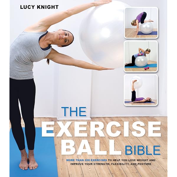 Exercise Balls For Dummies: Chabut, LaReine: 9780764556234: Amazon